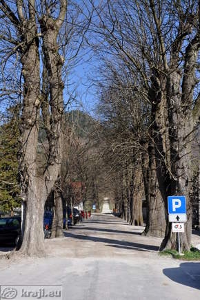 Drevored ob Begunjski graščini