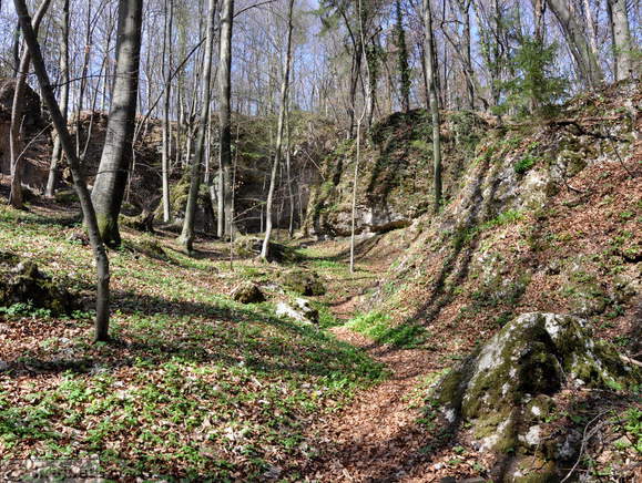 Naturerlebnispfad Waldenberg - Galerie