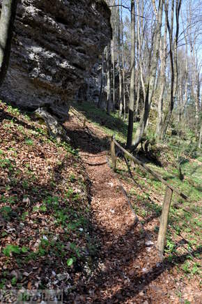 Naturerlebnispfad Waldenberg - Galerie