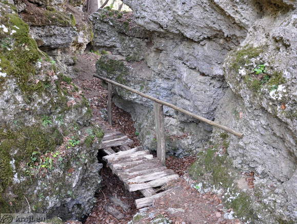 Naturerlebnispfad Waldenberg - Galerie