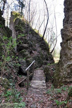 Naturerlebnispfad Waldenberg - Galerie