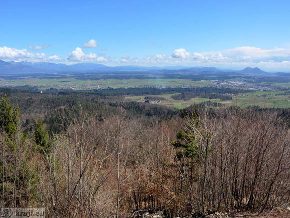 Sorško polje