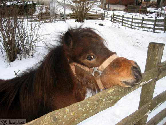 Dom pod Storzicem Berghütte