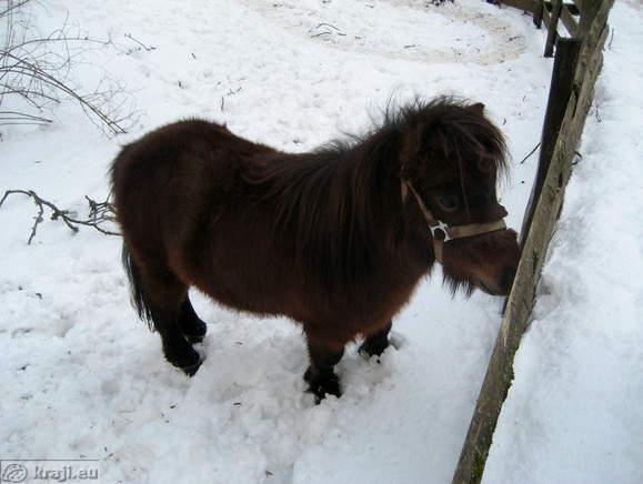 Dom pod Storzicem Berghütte