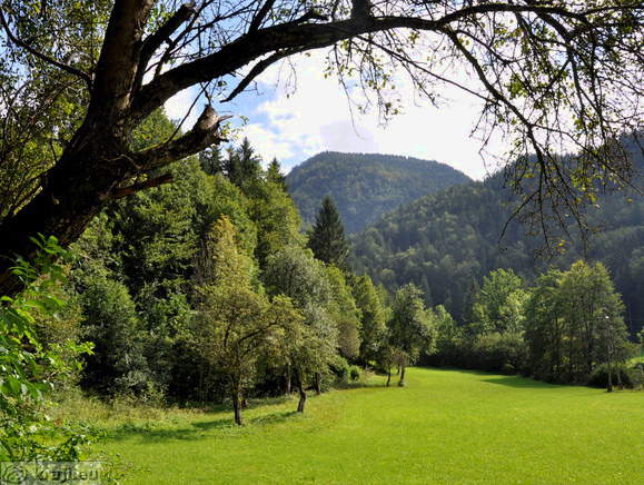 Travnik pri Čadovljah pri Tržiču