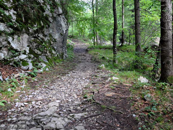 Pot proti slapišču