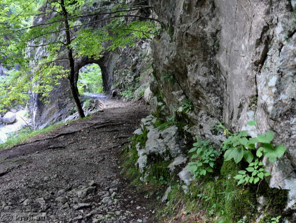 Pogled nazaj na Mali predor