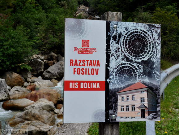 Board - Fossils Exhibition - Dolina