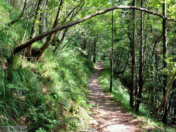 Dovzan Schlucht - Tarvis Brekzie Dovzan Schlucht - Tarvis Brekzie