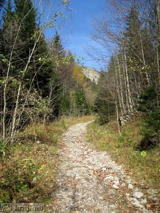 Pot proti Planini Korošica