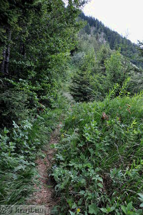 Trail to Kosutica