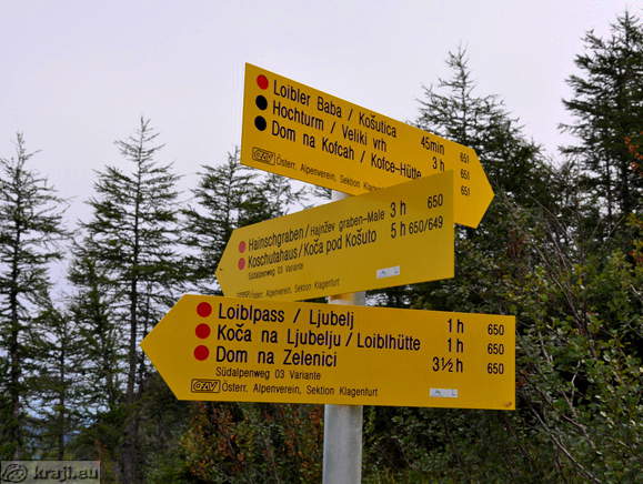 Direction signs (Kosutica 45min)