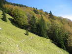 Kriska Gora and Tolsti Vrh - Path to the Tolsti vrh Hill 