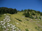 Kriska Gora and Tolsti Vrh - Slope to the Tolsti vrh Hill 