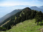 Kriska Gora and Tolsti Vrh - View of Kriska gora 