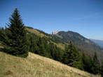 Kriška gora in Tolsti vrh - Med Tolstim vrhom in Kriško goro, Storžič v ozadju