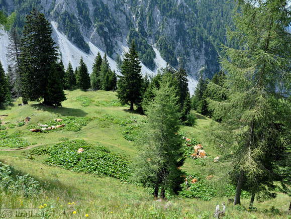 Planina Korosica Alm