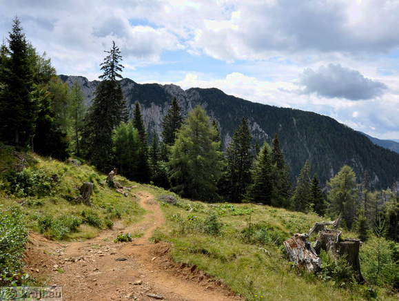 Höhenweg: Konzentrationslager - Planina Korosica Alm