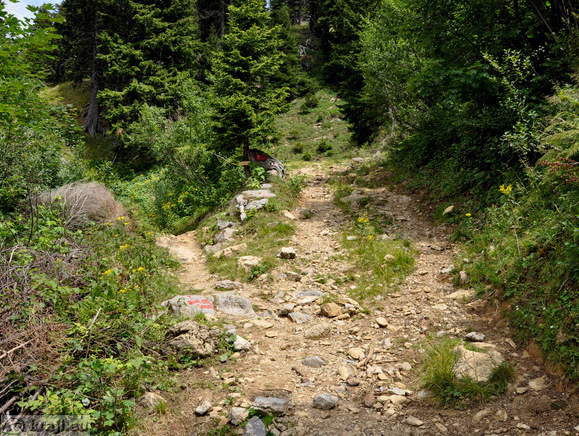 Höhenweg: Konzentrationslager - Planina Korosica Alm