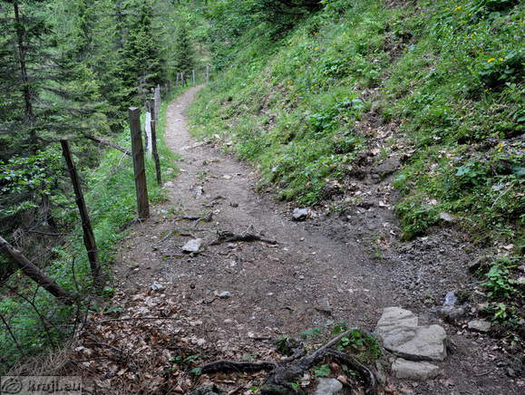 Höhenweg: Konzentrationslager - Planina Korosica Alm