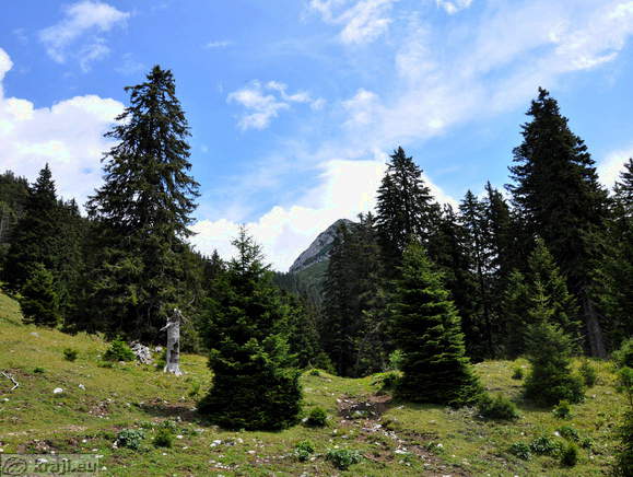 Höhenweg: Konzentrationslager - Planina Korosica Alm