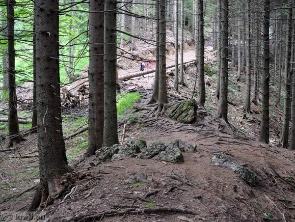 Höhenweg: Konzentrationslager - Planina Korosica Alm