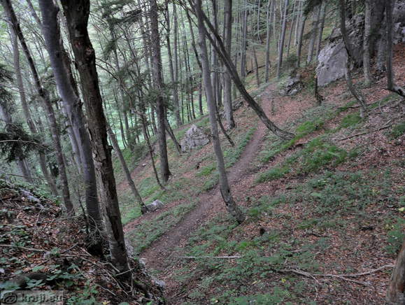 Höhenweg: Konzentrationslager - Planina Korosica Alm