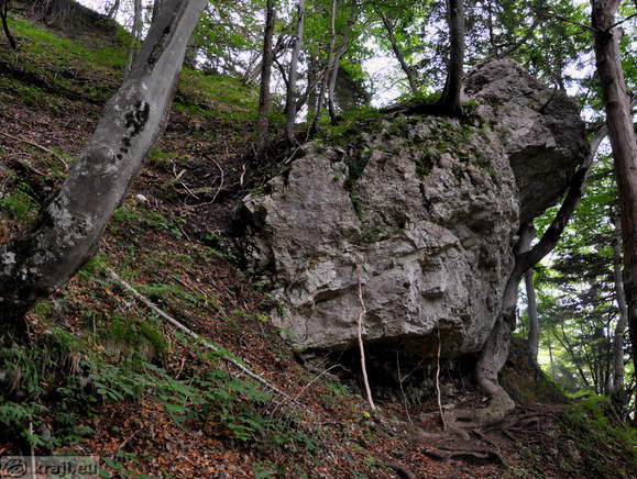 Höhenweg: Konzentrationslager - Planina Korosica Alm