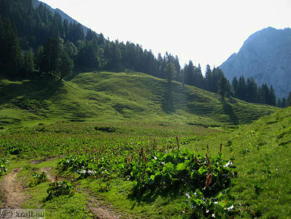 Höhenweg: Vrancek - Planina Korosica Alm