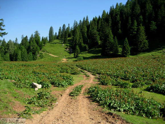 Höhenweg: Vrancek - Planina Korosica Alm