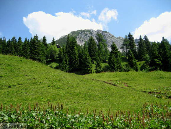Höhenweg: Vrancek - Planina Korosica Alm