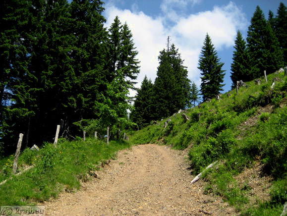 Höhenweg: Vrancek - Planina Korosica Alm