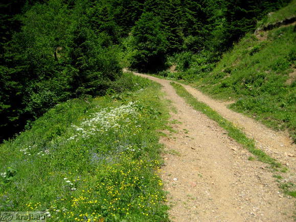 Höhenweg: Vrancek - Planina Korosica Alm