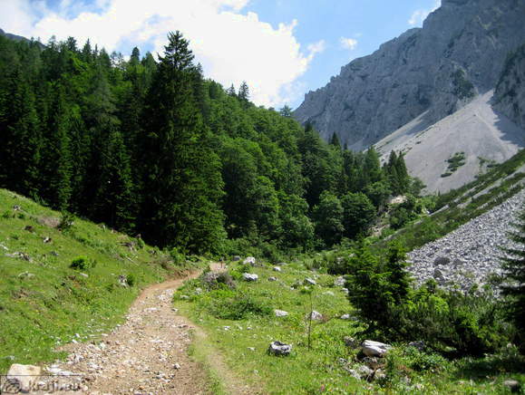 Höhenweg: Vrancek - Planina Korosica Alm