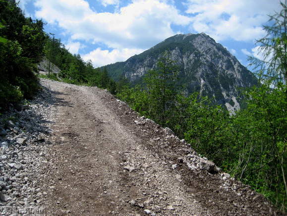 Höhenweg: Vrancek - Planina Korosica Alm