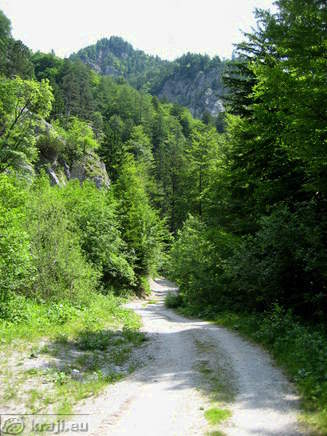 Höhenweg: Vrancek - Planina Korosica Alm
