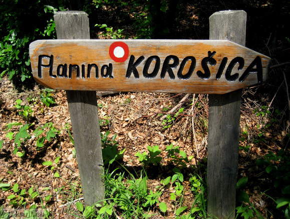 Höhenweg: Vrancek - Planina Korosica Alm