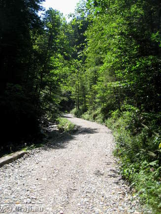 Road to the Stegovnik Waterfall