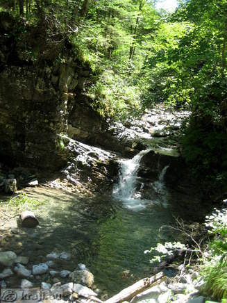 Brook Stegovnik along the road to Stegovnik Waterfall