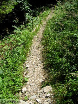 Small path that branch from the road for Stegovnik Waterfall