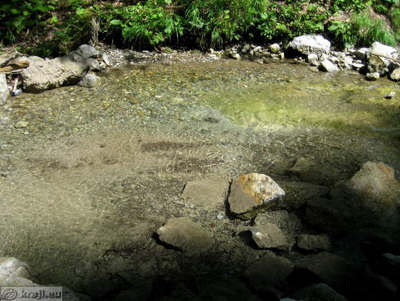 Brook Stegovnik in the summer time