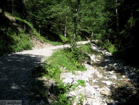 Road along brook Stegovnik