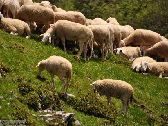 Soriska planina - Höhenweg: Mozic-parkplatz
