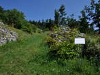 North walls, towers - Archaeological Park Ad Pirum - North walls, towers 