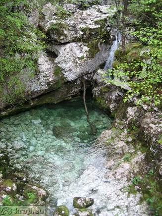 Pool on the other side of affluent crossing Pool on the other side of affluent crossing