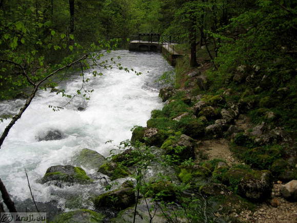 View back on dike View back on dike