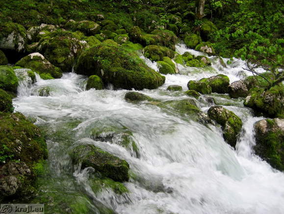 Izvir Glijuna Izvir Glijuna