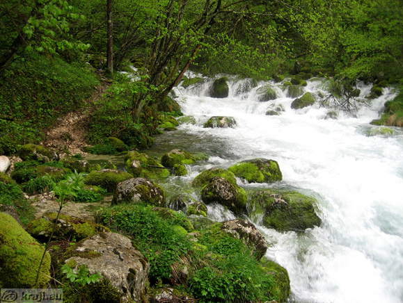 Footpath on the right bank Footpath on the right bank