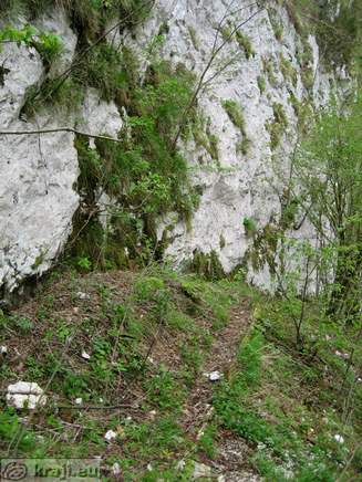 Footpath to the bottom of the gorge