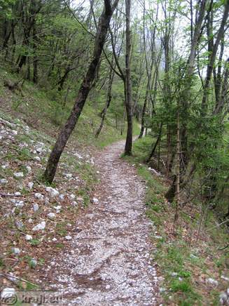 Steza proti Hermannovi utrdbi
